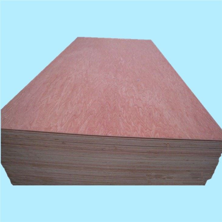 Bintangor BBCC Face Back XG Commercial Plywood
