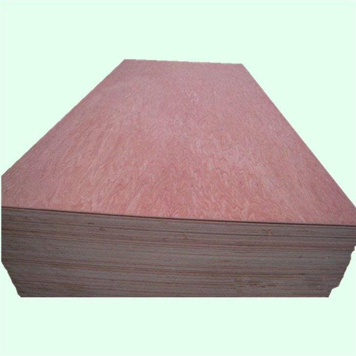 Bintangor BBCC Face Back XG Commercial Plywood