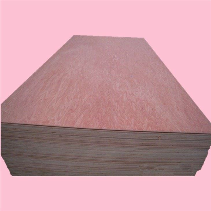 Bintangor BBCC Face Back XG Commercial Plywood
