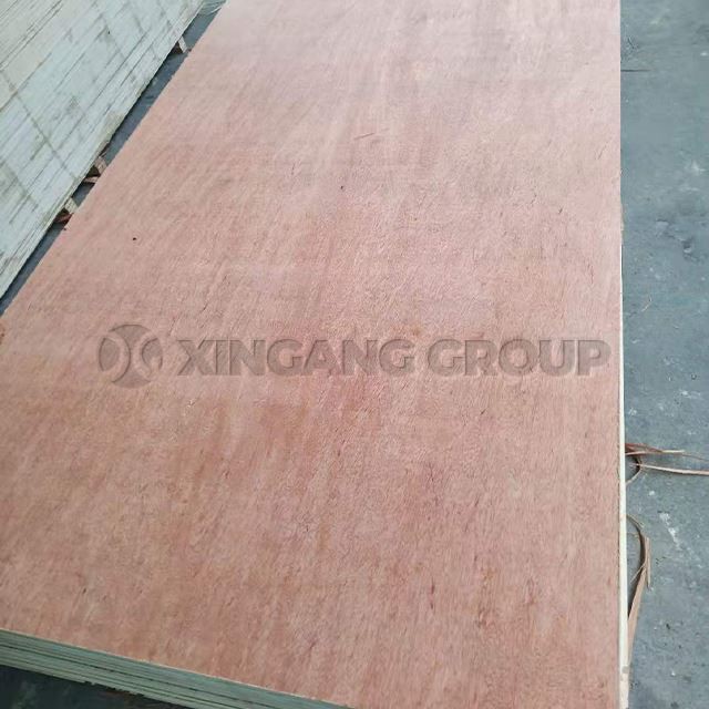 Bintangor Face Plywood Commercial Plywood For Furniture