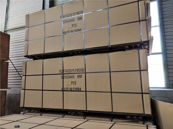 Black Film Faced Plywood Marine Plywood