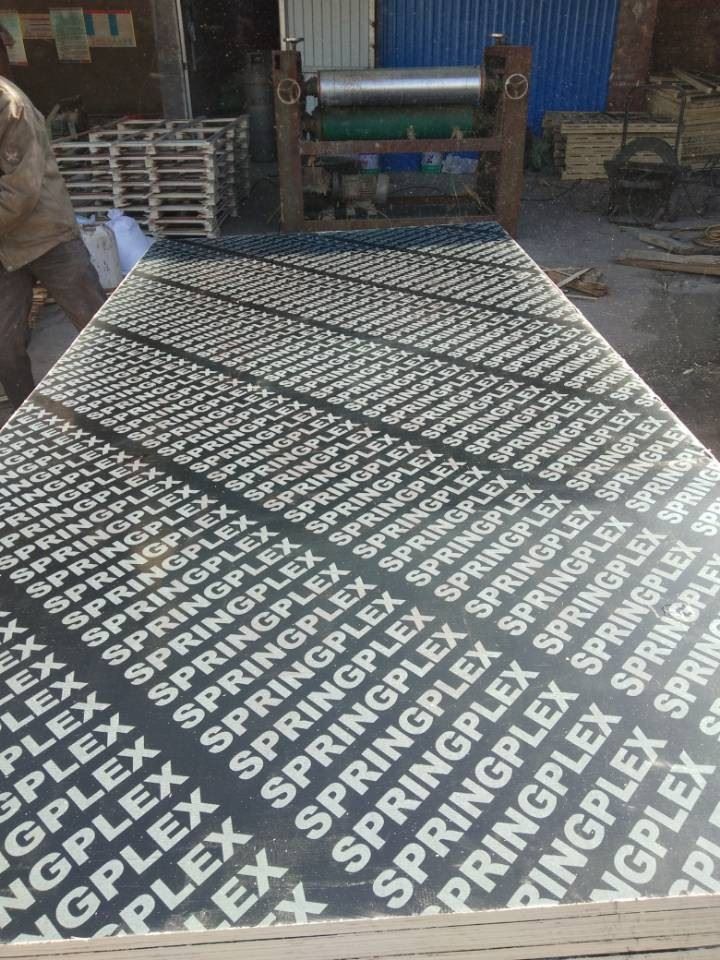 Black Film Faced Plywood Shuttering Plywood