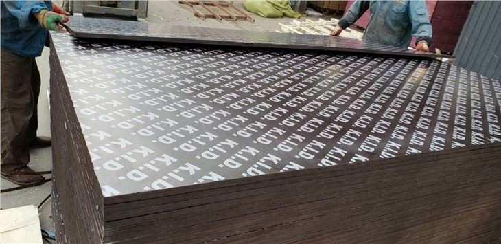 Black Film Finger Joint Plywood Supplier -China