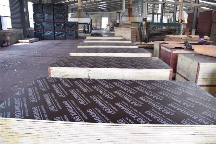 Black Or Brown Or Red Film Faced Plywood AAA Quality