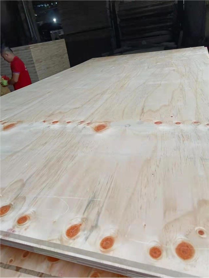 CDX Plywood Factory Price Structure Best Quality