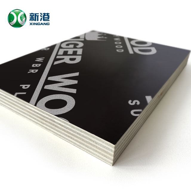 Linyi Good Quality Black Brown Film Faced Plywood