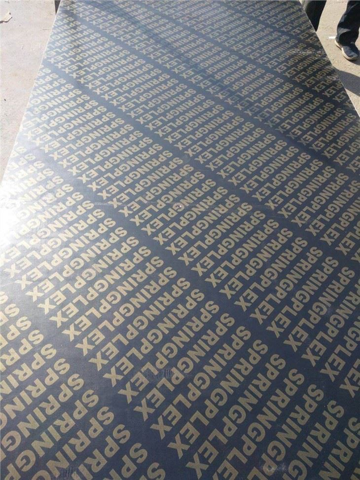 Chinese Plywood Suppliers- Xingang