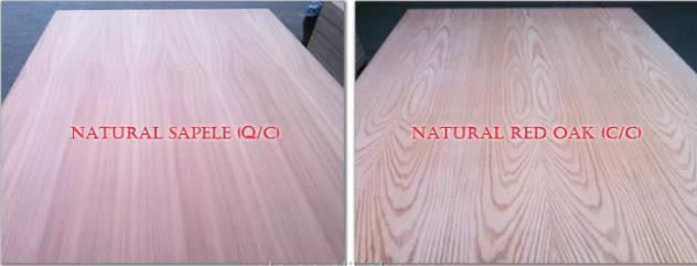 Commercial, Fancy Veneer Plywood