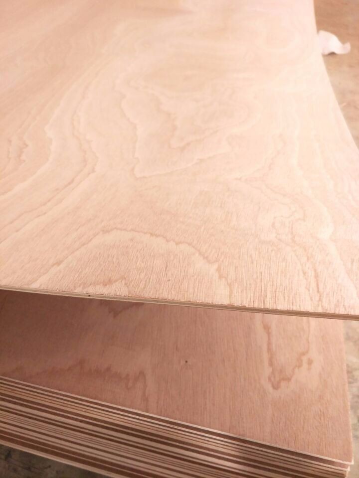 Commercial Plywood/Bintangor Plywood/Okoume Plywood