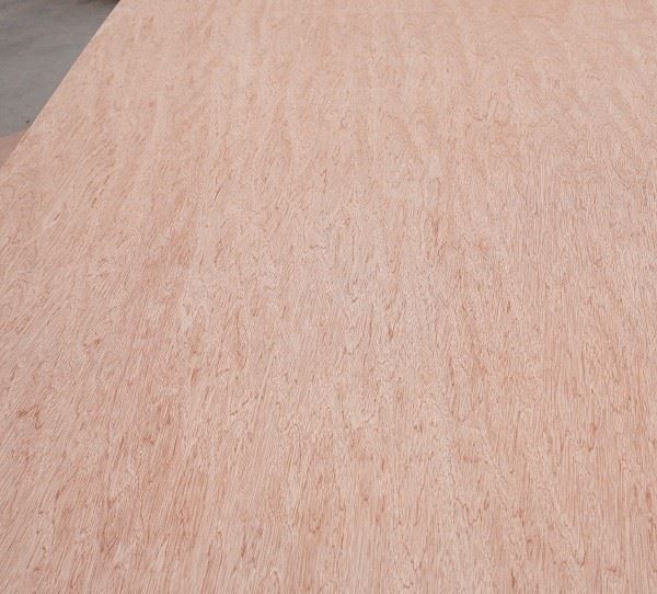 Door Skin Plywood Interior Decoration/Renovation