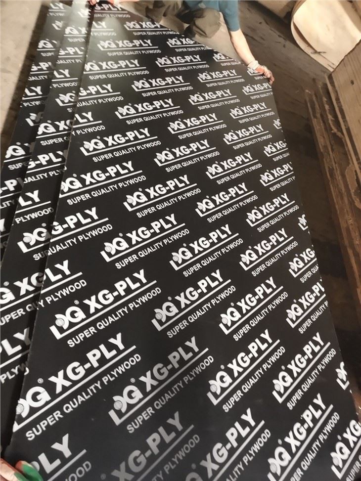 Film Faced Plywood Factory-Xingang Global Group