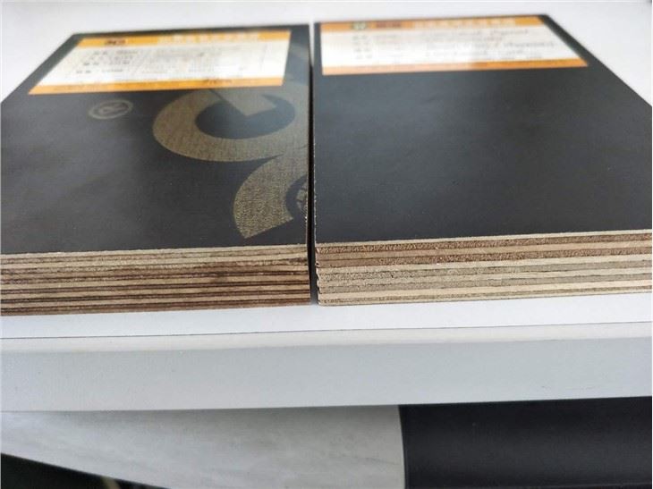 Film Faced Plywood Factory-Xingang Global Group