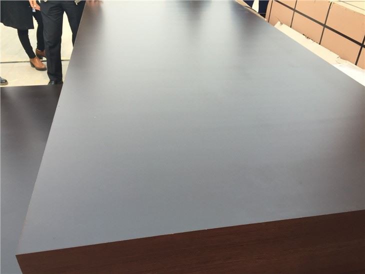 Film Faced Plywood For Concrete Use