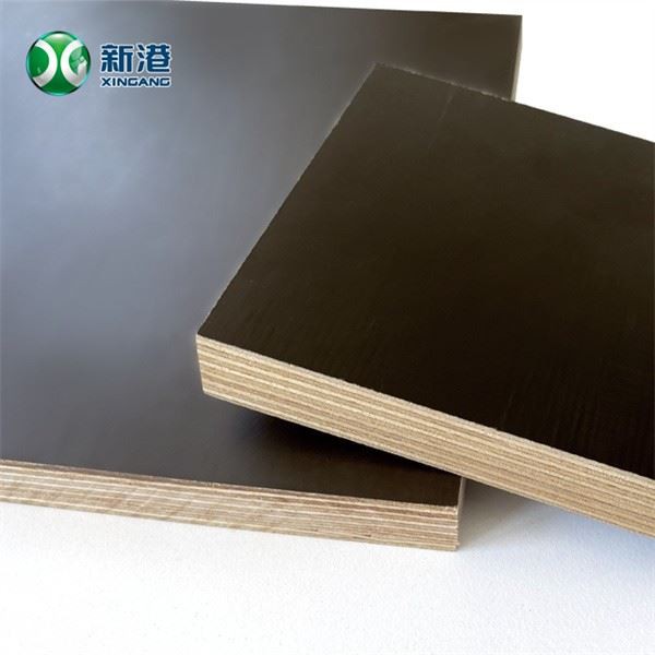 Film Faced Plywood Linyi