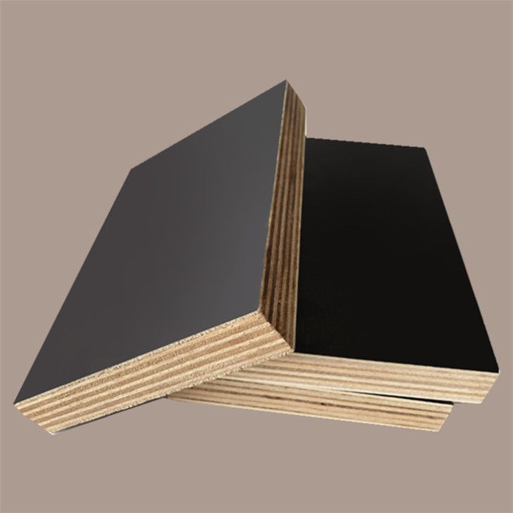 Film Faced Plywood Manufacturing Plant Shandong XG