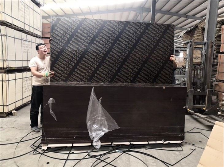 Film Faced Plywood Phenolic Glue