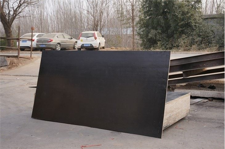 Film Faced Plywood Xingang Brand Full Hardwood Core
