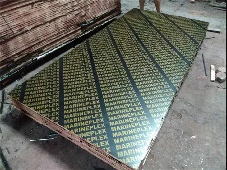 Finger Joint Recycled Concrete Formwork Film Faced Plywood