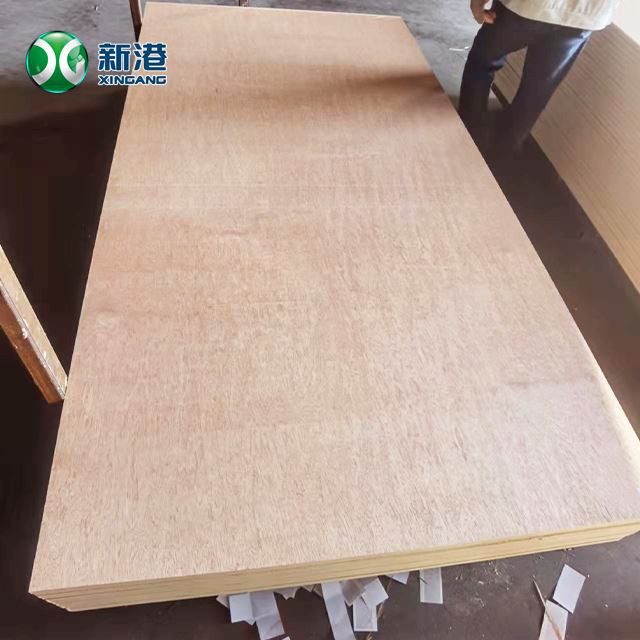 Birch Plywood Furniture Commercial Plywood Packing Plywood 13/15/18/20/21/22mm