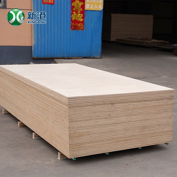 Furniture Plywood Birch Veneer Plywood For Decoration Use