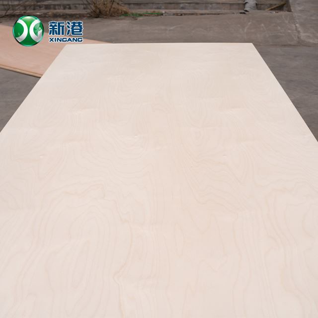 Furniture Plywood Birch Veneer Plywood For Decoration Use