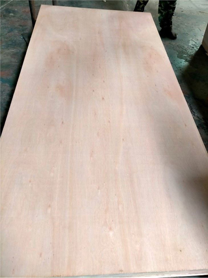 Greece Eucalyptus Face Plywood Commercial Plywood