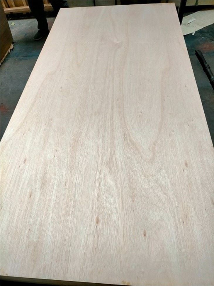 Greece Eucalyptus Face Plywood Commercial Plywood