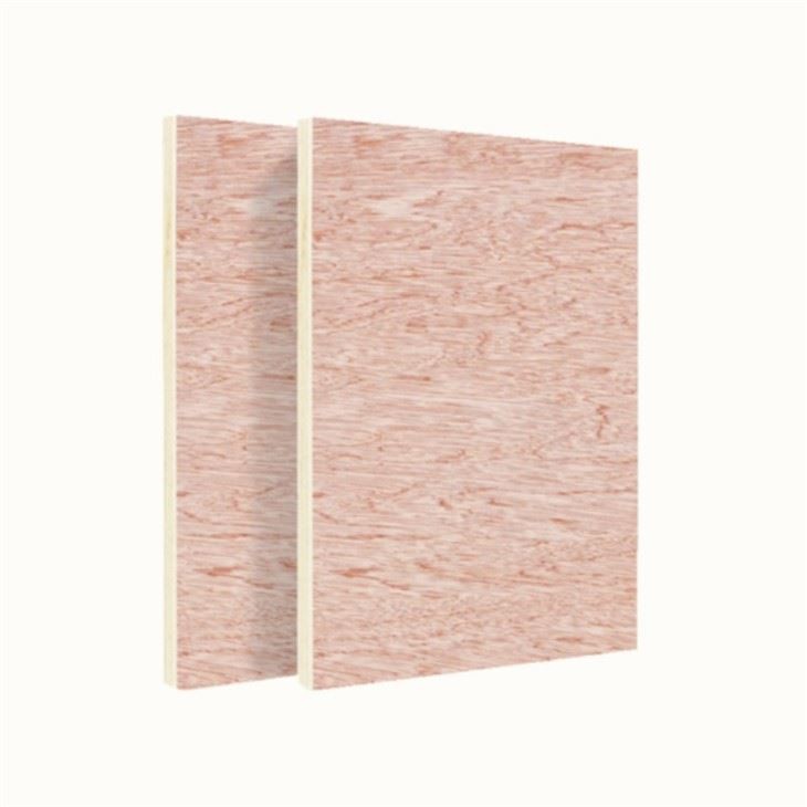 High Pressure Treated Plywood 4x8 Sheet Standard Size