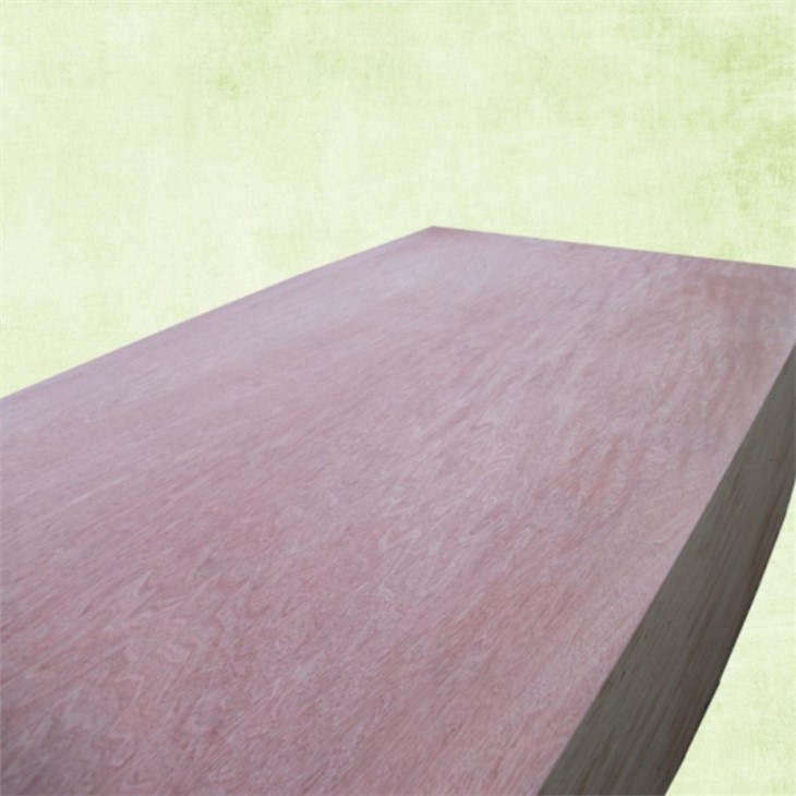 High Qualtiy Plyboard Plywood Machines Production Line Automatic
