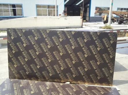 11mm Black Film Faced Plywood