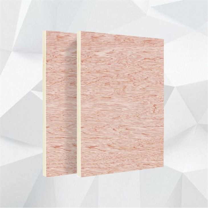 Linyi Plywood For Sale Plywood Hot Press Machine Made