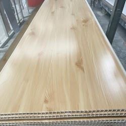 Morden Eco-Wood Wpc Wood Pvc Panels Cladding TV Background Wall