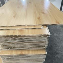Morden Eco-Wood Wpc Wood Pvc Panels Cladding TV Background Wall