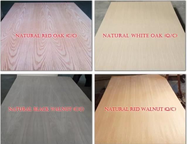 Natural Or Engineered Oak, Walnut, Cherry Veneered MDF Manufacturer