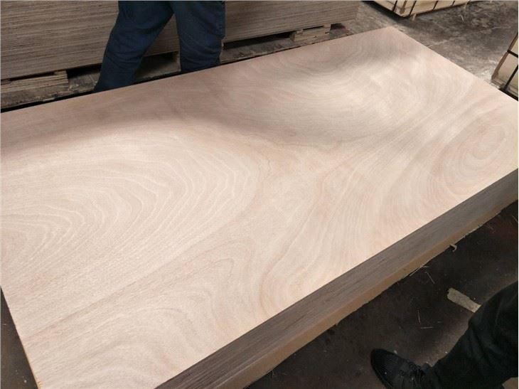 Okoume/Bintangor/Pine/Birch/Sapale Commercial Plywood 1220x2440mm