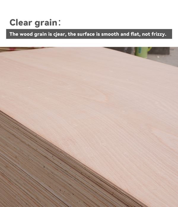 Okoume Commercial Plywood / Xingang Global Group