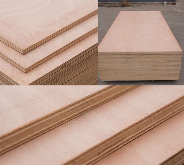 Okoume Commercial Plywood / Xingang Global Group