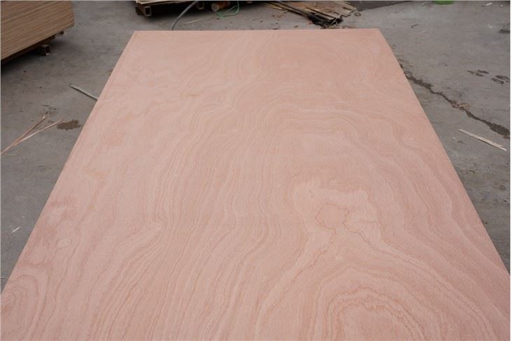Okoume Commercial Plywood