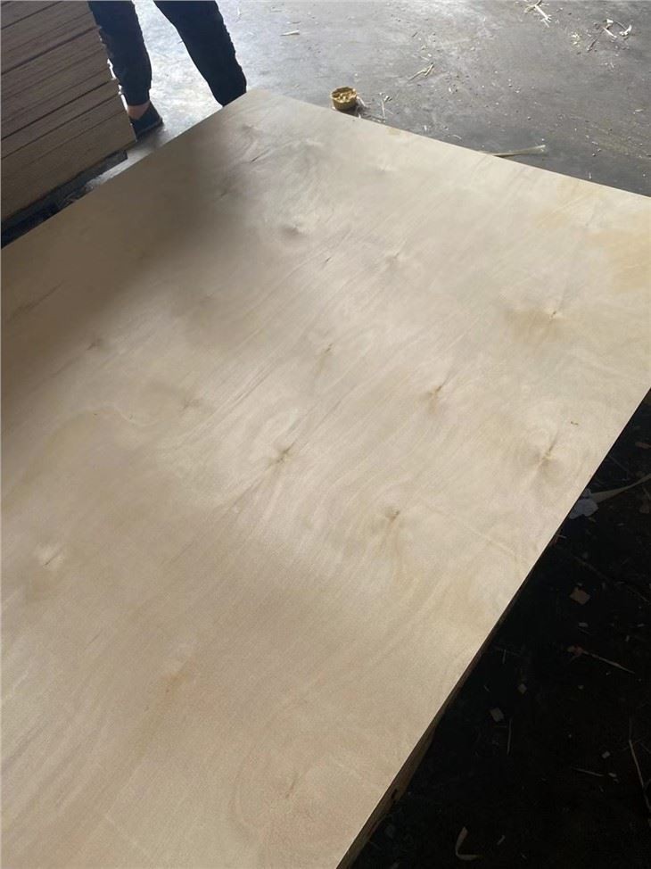 Okoume Plywood,commercial Plywood,poplar