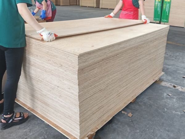 Pine Birch Pencil Cedar Bintangor Okoume Face/back Commercial Plywood Sheet Best Quality