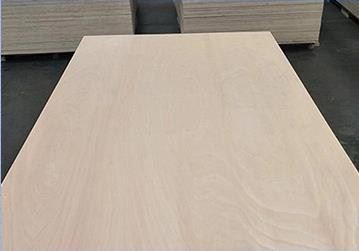 Pine Birch Pencil Cedar Bintangor Okoume Face/back Commercial Plywood Sheet Best Quality