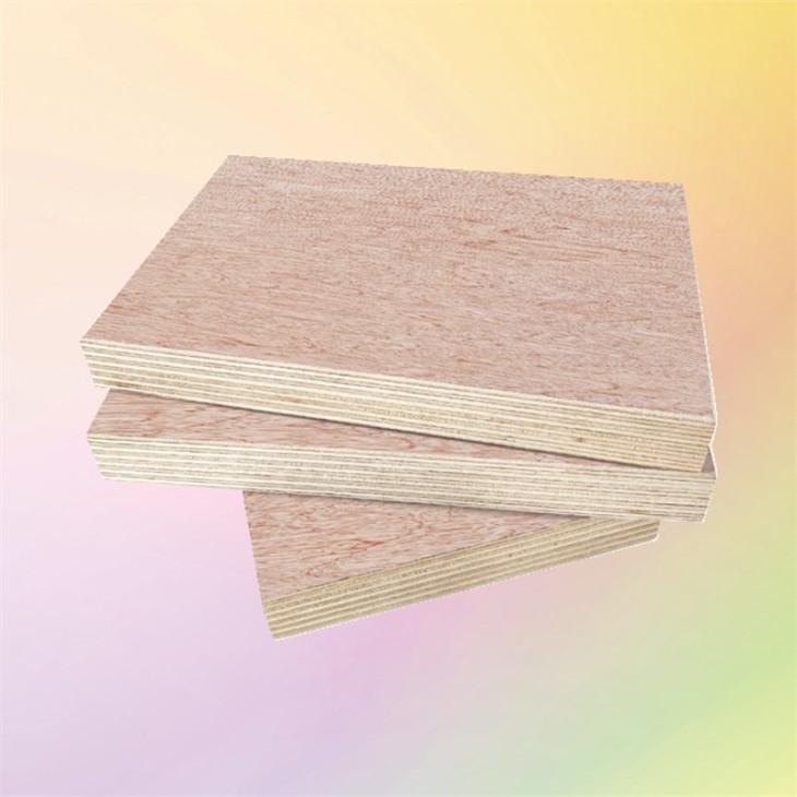 Plywood Manufacturing Plant Laminated Plywood 18mm