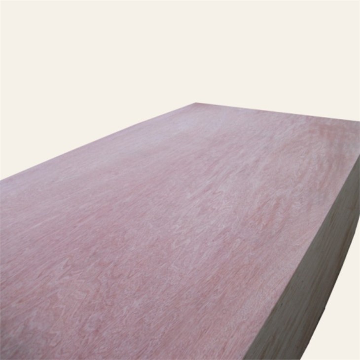 Plywood Manufacturing Plant Laminated Plywood 18mm