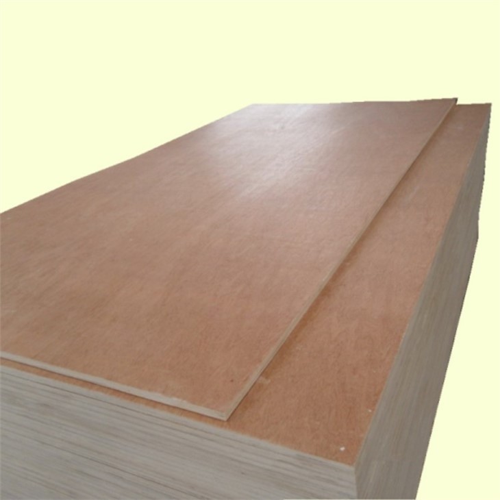 Plywood Manufacturing Plant Laminated Plywood 18mm