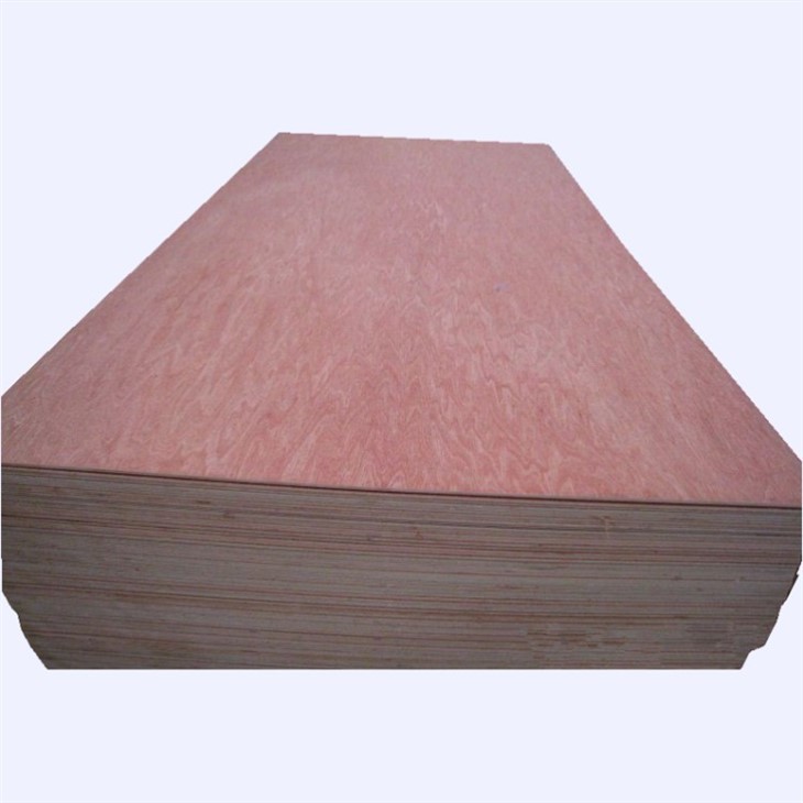 Plywood Manufacturing Plant Laminated Plywood 18mm