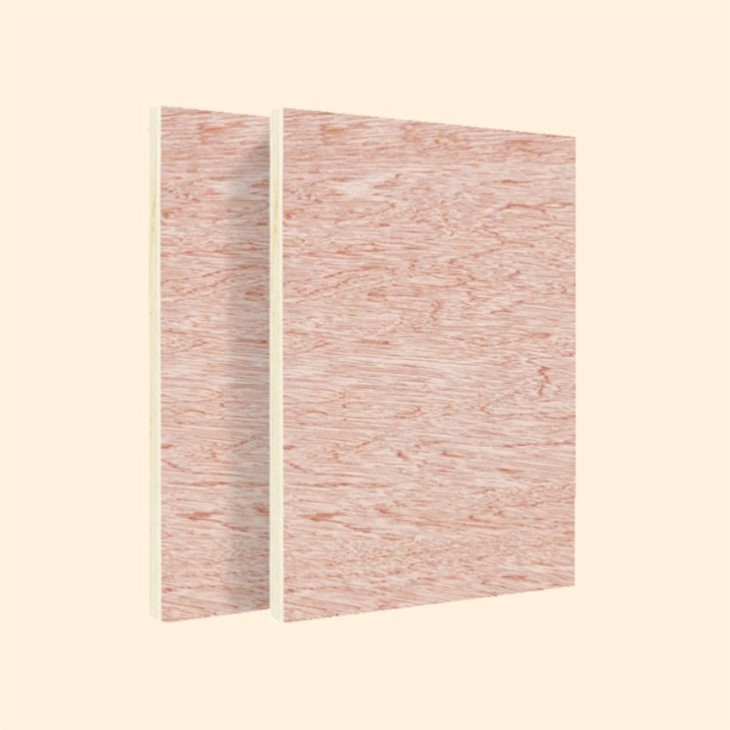 Plywood Manufacturing Plant Laminated Plywood 18mm