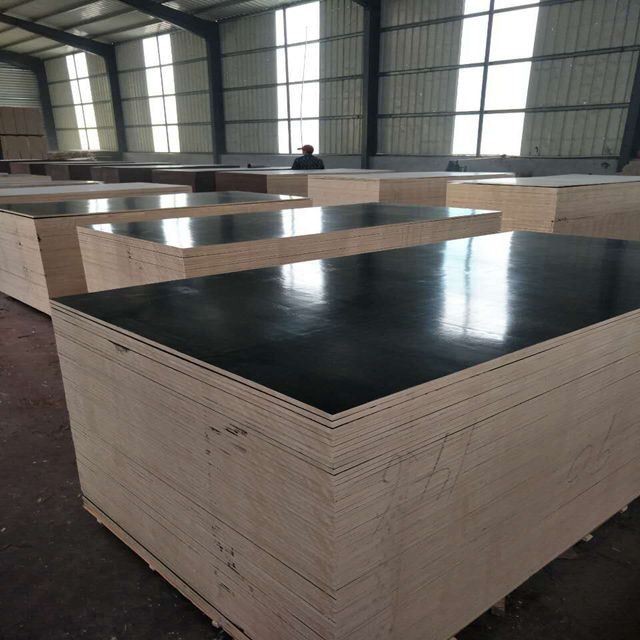 Poplar Film Faced Plywood One Time Hot Press