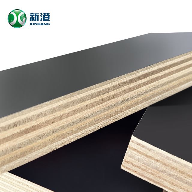 Poplar Film Faced Plywood