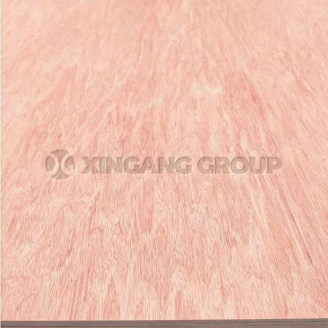 9mm Resistant To Deformation Wood Grain Bintangor Plywood For Packing