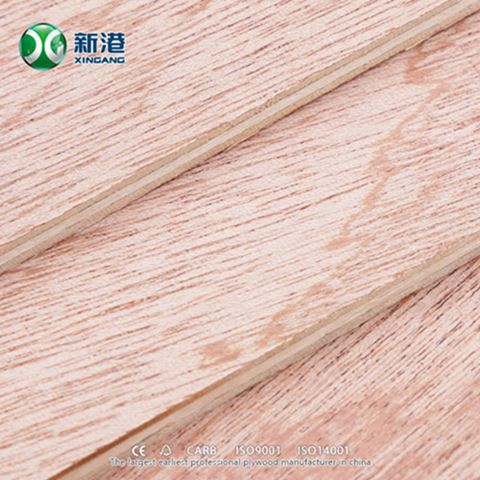 Sapele Plywoood